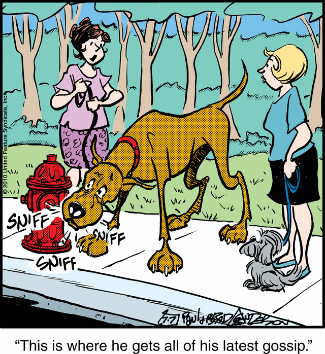 marmaduke